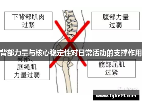 背部力量与核心稳定性对日常活动的支撑作用